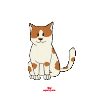 Rcbrasil Sticker by Royal Canin Brasil