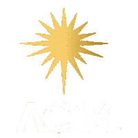 Star Ster Sticker by Ricked