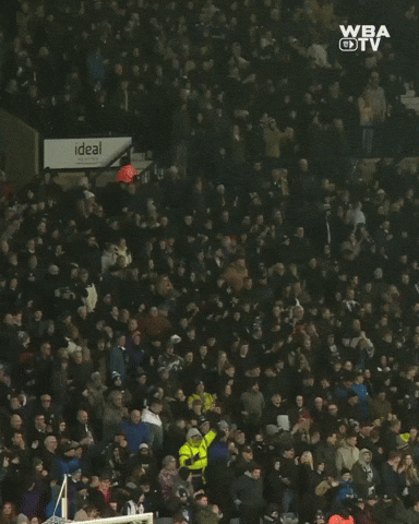West Brom Wba GIF by West Bromwich Albion