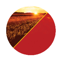 Sementes Sticker by Agro Bayer