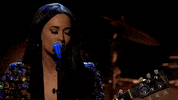 stephen colbert GIF