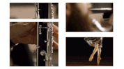chicago arts GIF by MacArthur Foundation