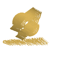 Ccgif Sticker by Custom Company