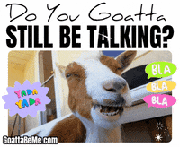 Stop Talking Talk Too Much GIF by Goatta Be Me Goats! Adventures of Java, Toffee, Pumpkin and Cookie!