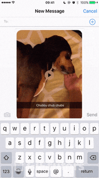 iphone share by GIF tutors