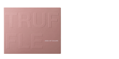 Stone Truffle Sticker by Dose of Colors