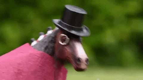 skintdressagedaddy giphygifmaker angry mad horse GIF