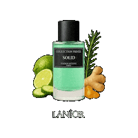 Amber Parfum Sticker by Lanior