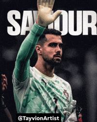 Fifa World Cup Ronaldo GIF