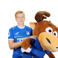 Hoffi Sticker by TSG Hoffenheim
