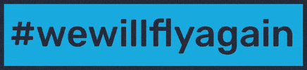 Fly Flying GIF by KTHE