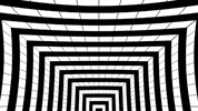 sub pop animation GIF by Sub Pop Records