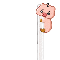 Pig Writing Sticker
