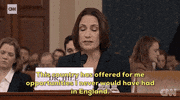 news impeachment impeachment inquiry opening statement fiona hill GIF