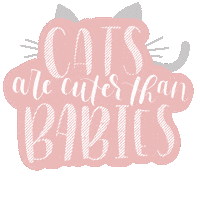 jesswritesonthings cat cats kitten meow Sticker