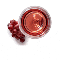 Getfreightedcellardoor getfreightedcellardoor winefreight GIF