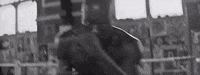 music video boxing GIF by Partizan