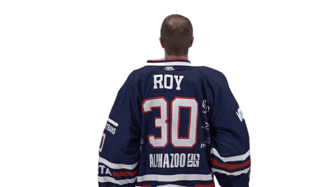 Hockey Ice GIF by Fehervar AV19