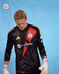 Vamos Major League Soccer GIF by Chicago Fire Football Club