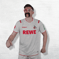 1 Fc Cologne Football GIF by 1. FC Köln