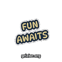 Fun Bear Sticker by grizlor