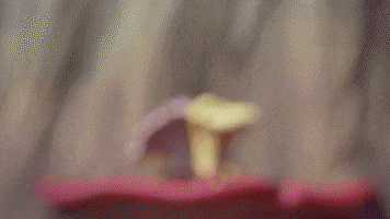 Chep GIF by Mushmushfun