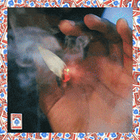 AceShotMe music video shot ace herb GIF