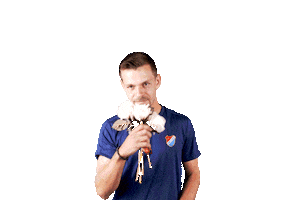 fotbalovaliga football soccer flowers feel Sticker
