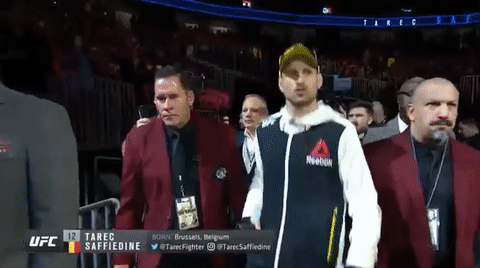 tarec saffiedine ufc GIF