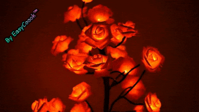 gianpieroambrosino giphygifmaker GIF