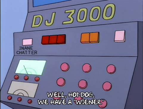 wiener dog dj gif