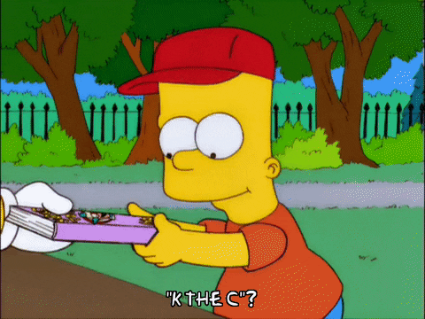 bart simpson episode 3 GIF