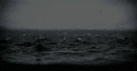 weather GIF by Poncho