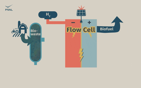 dwaipayansengupta giphyupload carbonneutral biofuel newsystem GIF