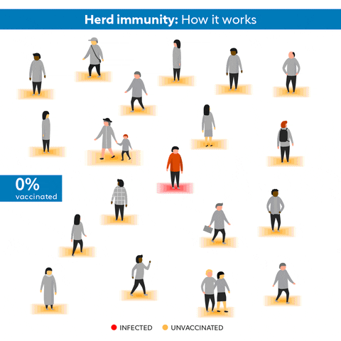 VaccineSafetyNet Vaccines herd immunity GIF