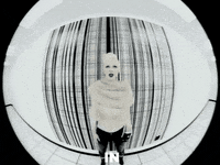 Shirley Manson GIF by Garbage