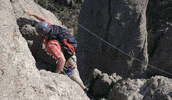 rocktheparkabc  GIF