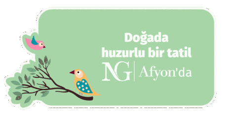 Ng Afyon Sticker by NG Hotels