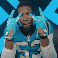 North Carolina Reaction GIF by Carolina Panthers