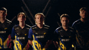 Line Up Team GIF by BLAST