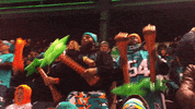 Miami Dolphins GIF by Dolfans NYC