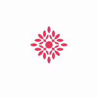 Brusinkabrno GIF by Multicultural Center Brusinka