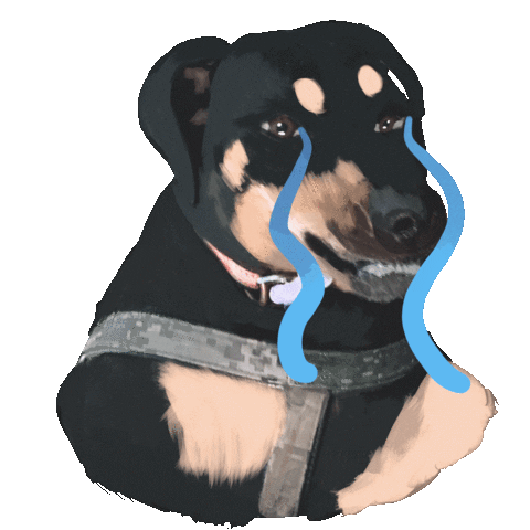 Sad Dog Sticker