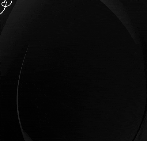 ApolloArtistMgt giphygifmaker giphyattribution black background GIF