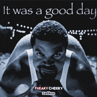 It Was A Good Day Omg GIF