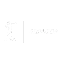golf driveon Sticker by LPGA