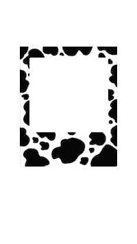 Frame Cow Sticker