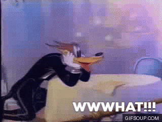 push50 giphygifmaker GIF