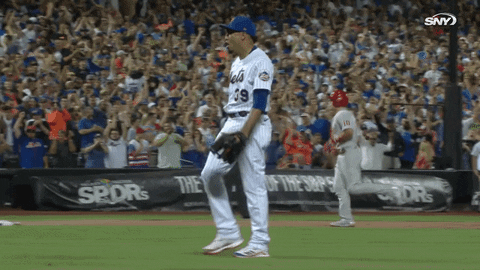 New York Mets Sport GIF by SNY