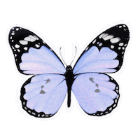 Sdesignworks new women fly fresh Sticker